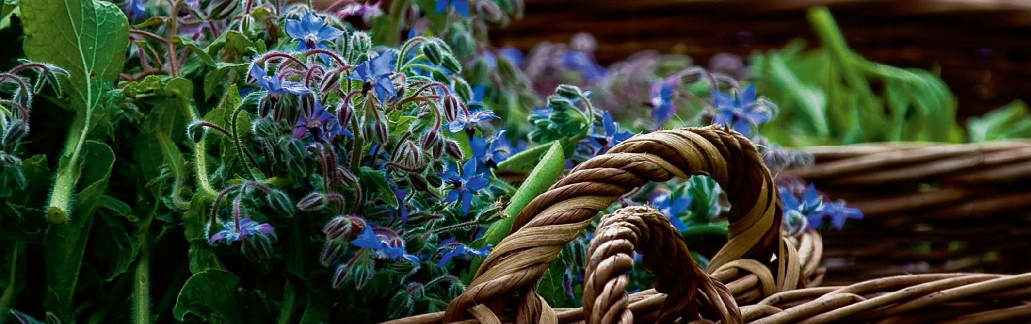 Header contact non connecte%c3%8c 